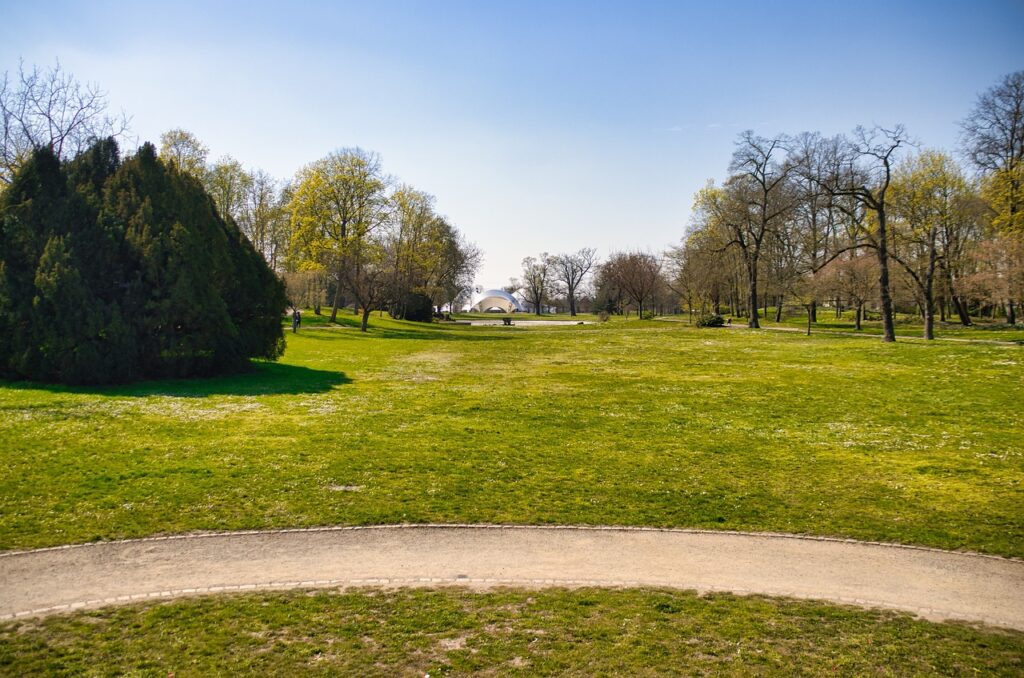 tree, grass, park-5014047.jpg